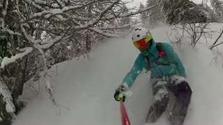 Deep Powder Treeskiing