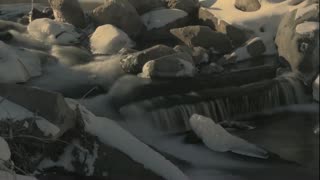 The Kids By Tim Harrysson