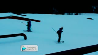 King of the jungle - Edvin Molund