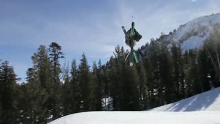 BRS - January 15 (eDoggo)