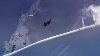 Red Bull Linecatcher