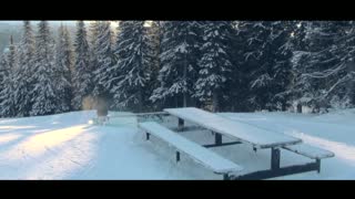 Niklas Höiem / Ostron entertainment