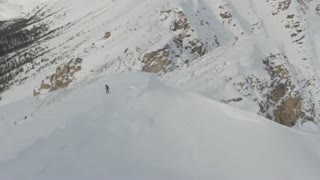 sendit2013 Beer. it's what's for dinner