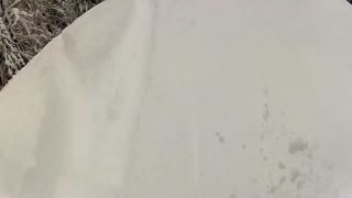 Nendaz 2 feb