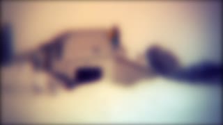 Doubles: www.youtube.com/user/Airflowchannel