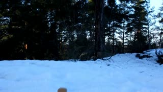 Local Talents Ski Promo