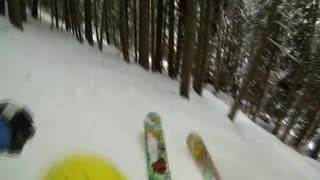 Disentis bjuder på skogsåk.
