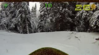 Real life ski game