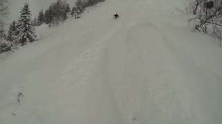 Gubbdagis i alperna 2013