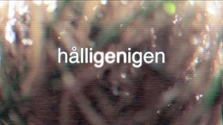 Hålligenigen