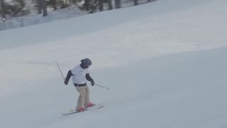 Anton.T. Salomon Newcomer