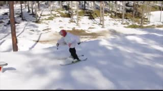 Elwis 2013. Sponsor me?