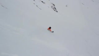 Rock 'n' Roll-Shredd