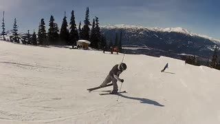 whistler vol 1