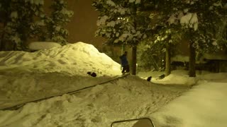 Rasmus Olausson 12/13