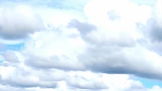 Anton Törnhult (Atte18) 12/13