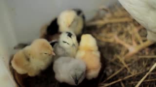 Tankar kring säsongsavslut och övergången till sommaren