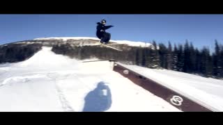 The oyster snowgoon - Niklas Höiem.