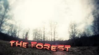 The Forest - Trailer