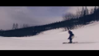 short and kort II. AREIVANT