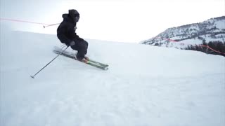 One Donut in Brighton - TheBunch