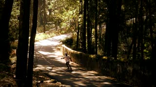 Traces pt. III - Portugal