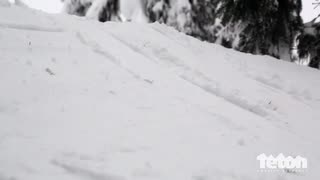 Man Versus Tree - Almost Live Season 5 Episode 12