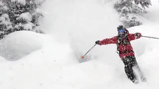 Junkies on a budget - Satori