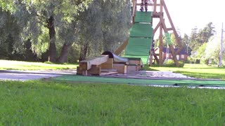 summer rail forever alone