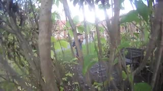 Höstig longboarddag i Duved