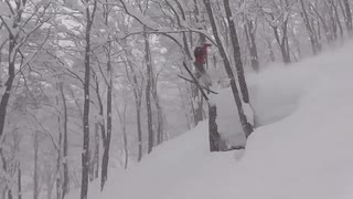 Hakuba Matata 2013, seasonedit