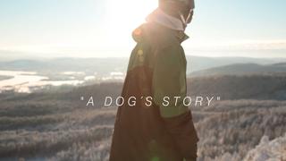 A Dog´s Story