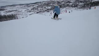 Hidden Skills Vierli