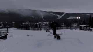 Short and kort - Fågelcrib