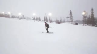 Go Along. Lindvallen