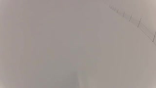 Instamoment #3 Strawberry fields