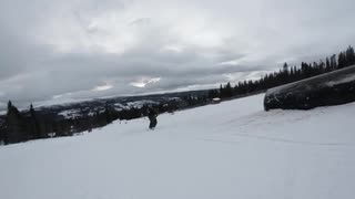 Rödkullenskrädd ala fågelcrib