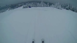 Hovjället träning Skicross