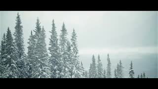 Powtrip break, Lofsdalen