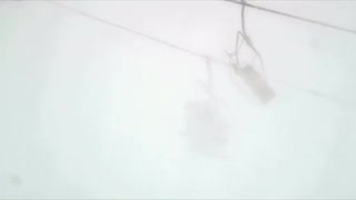 Cowboy Powder – Almost Live Season 6 Episode 1 Presented by Gore-Tex Products