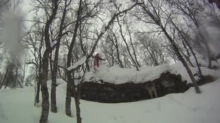 FUNÄSFJÄLLENS GULDKORN Skogsparken Ramundberget