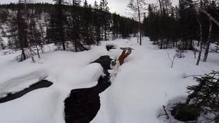 Ingen kommer ihåg en fegis