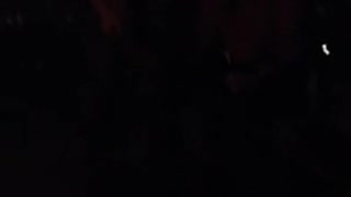 Tim haber on harmonica !