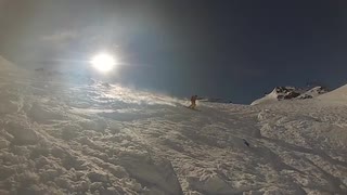 Timmy Sepp - Odd but good