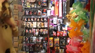 Dags för att testa utklädnader