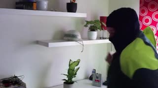 Throw back - utryckning