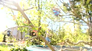 Philip Agerstig Kort vår edit.