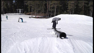 Oskar Samuelsson 2k13/14