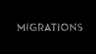 Trailer: Stellar Media – Migrations