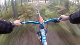 How to get more excitement in a enduro track, Shila the husky showing how